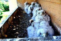 /album/a11-6-2013/a7-statecnych-jpg/